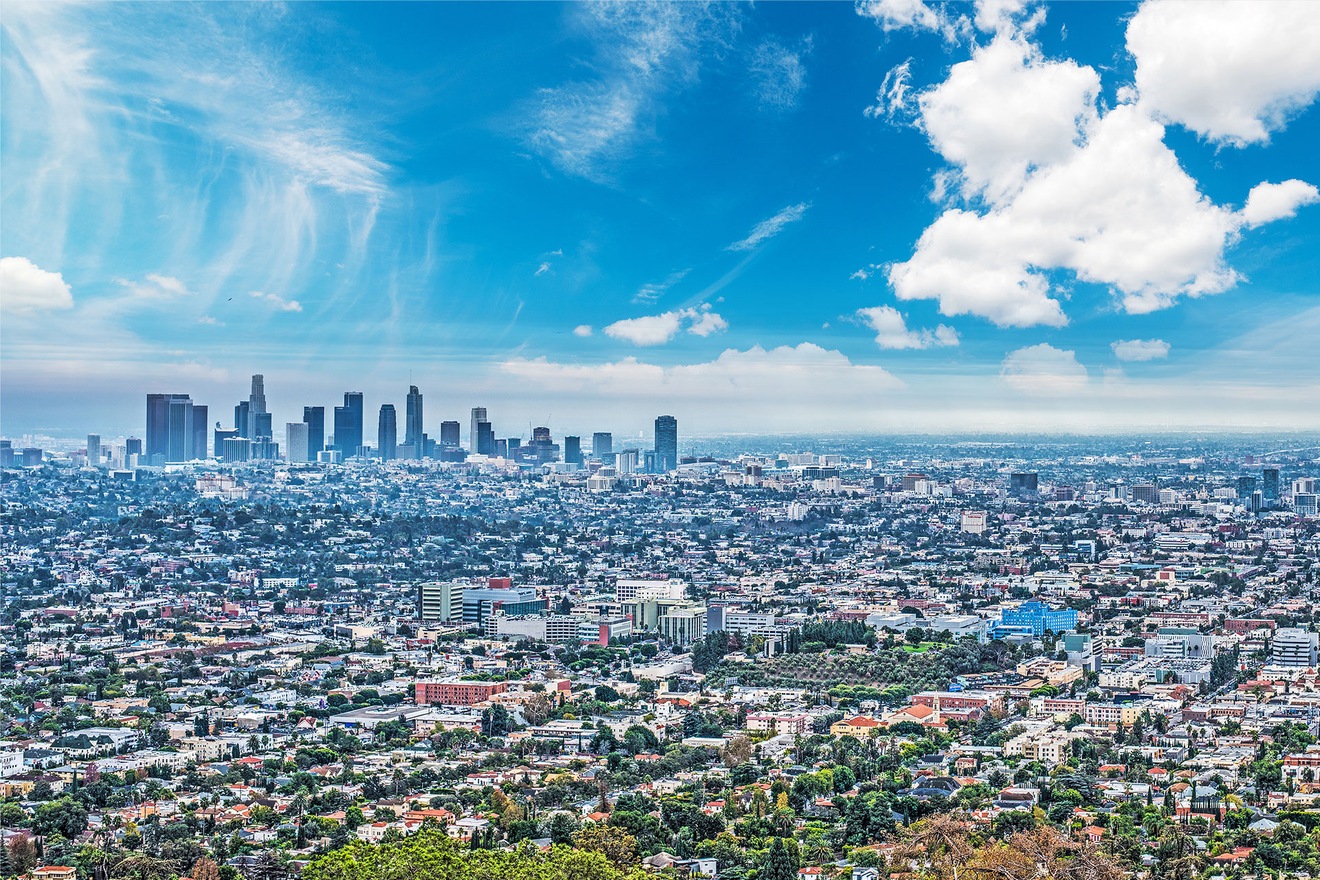 Digital Creative Marketing Agency Los Angeles