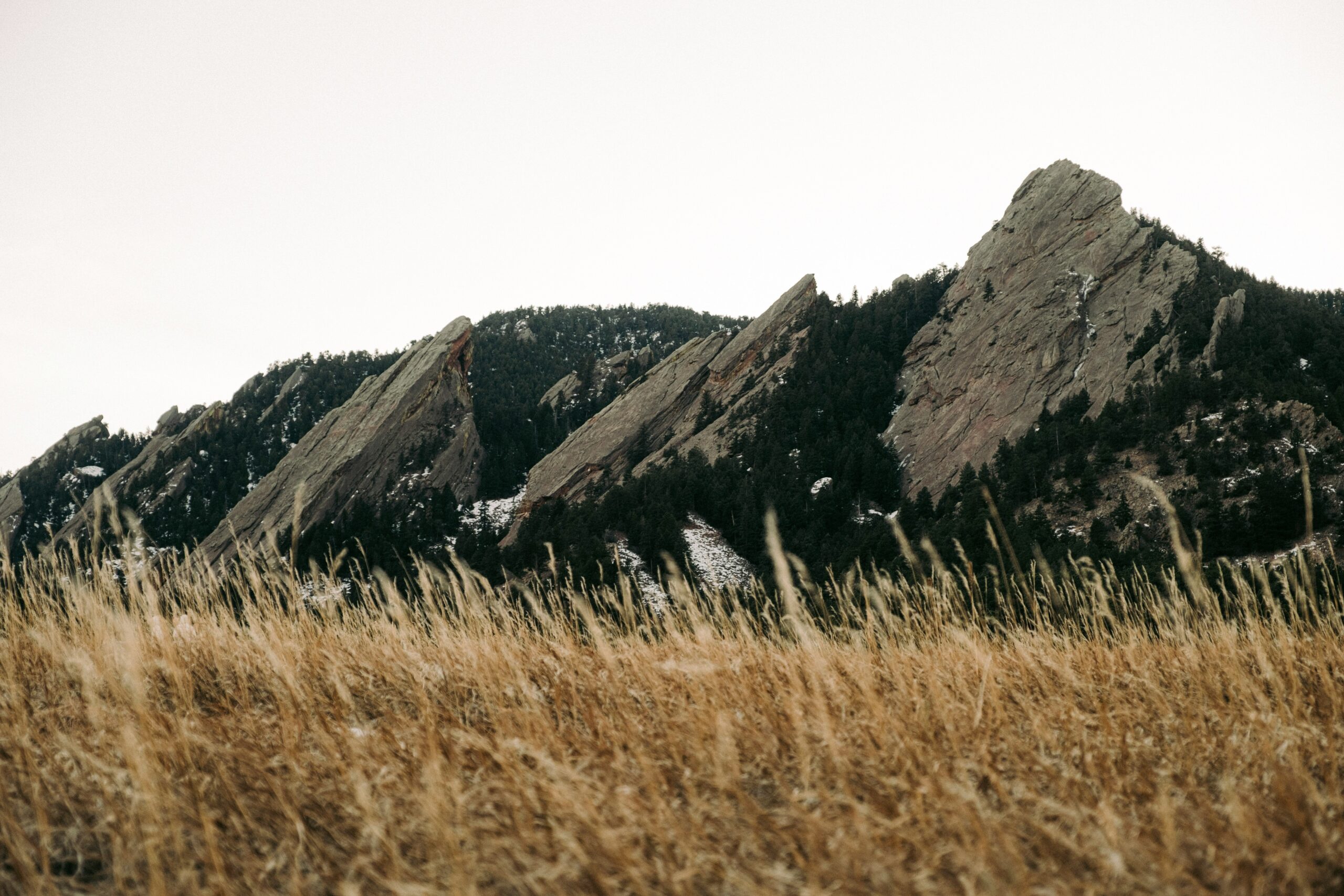 Denver Leading Marketing Service Agency