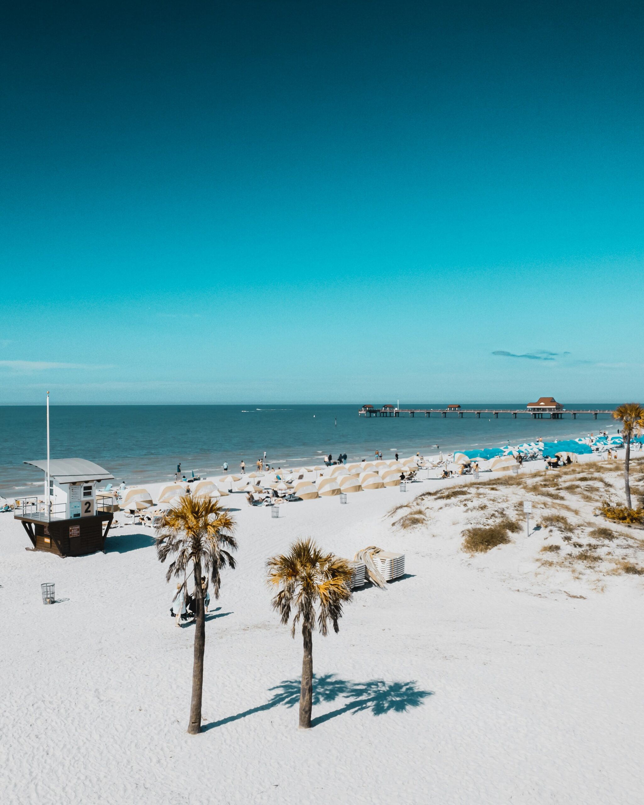 Tampa Digital Leading Seo Agency